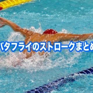 水泳バタフライの正しい泳ぎ方 教え方と楽に泳ぐ練習のコツ 元選手監修 スイスイ坊や